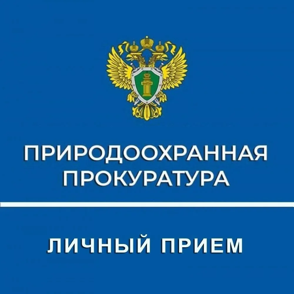 Уважаемые жители и предприниматели Некрасовского округа!

Администрация Некрасовского муниципального