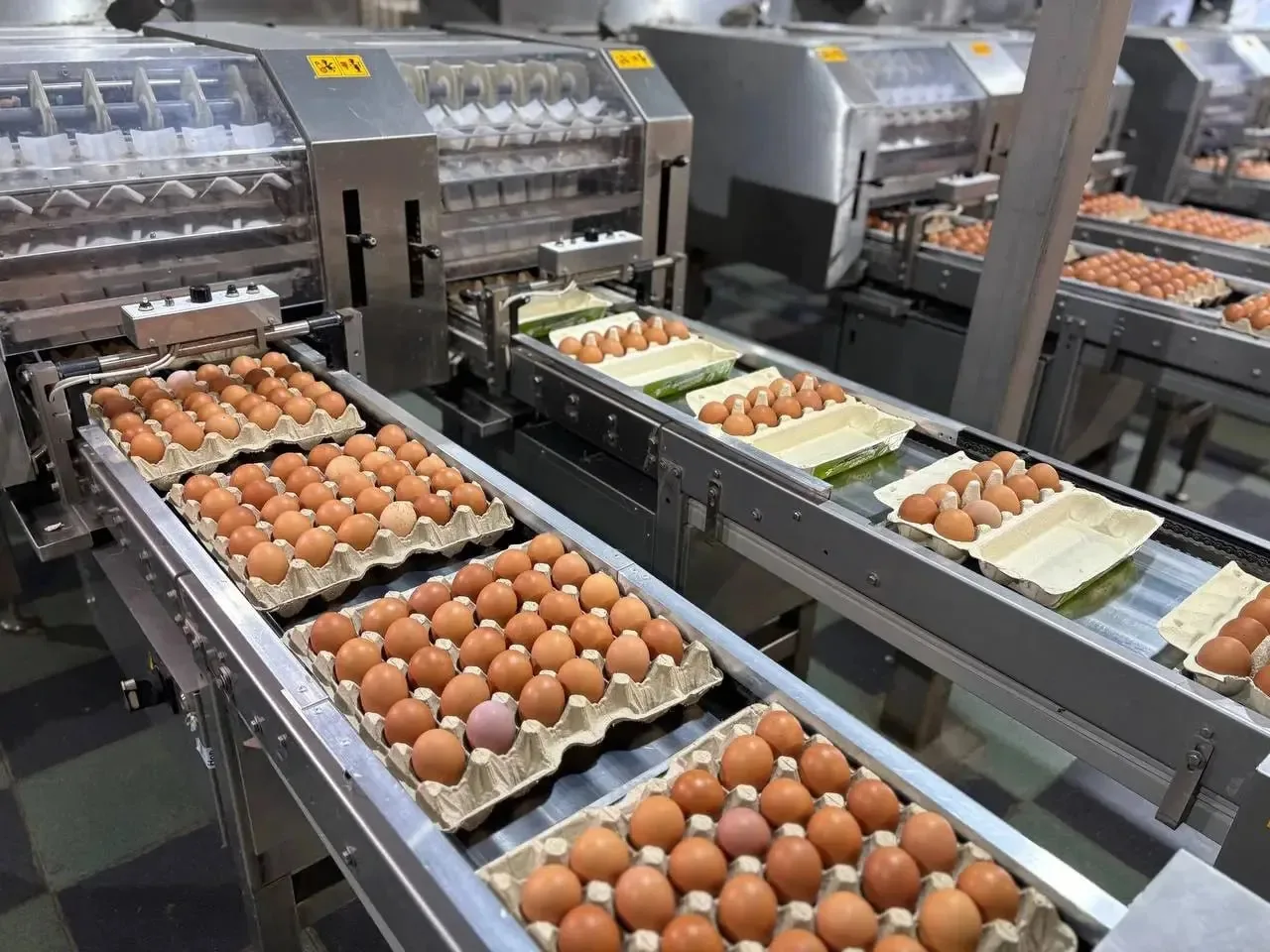 🥚 С января по апрель костромские птицефабрики произвели более 380 млн яиц   В Костромской области пр