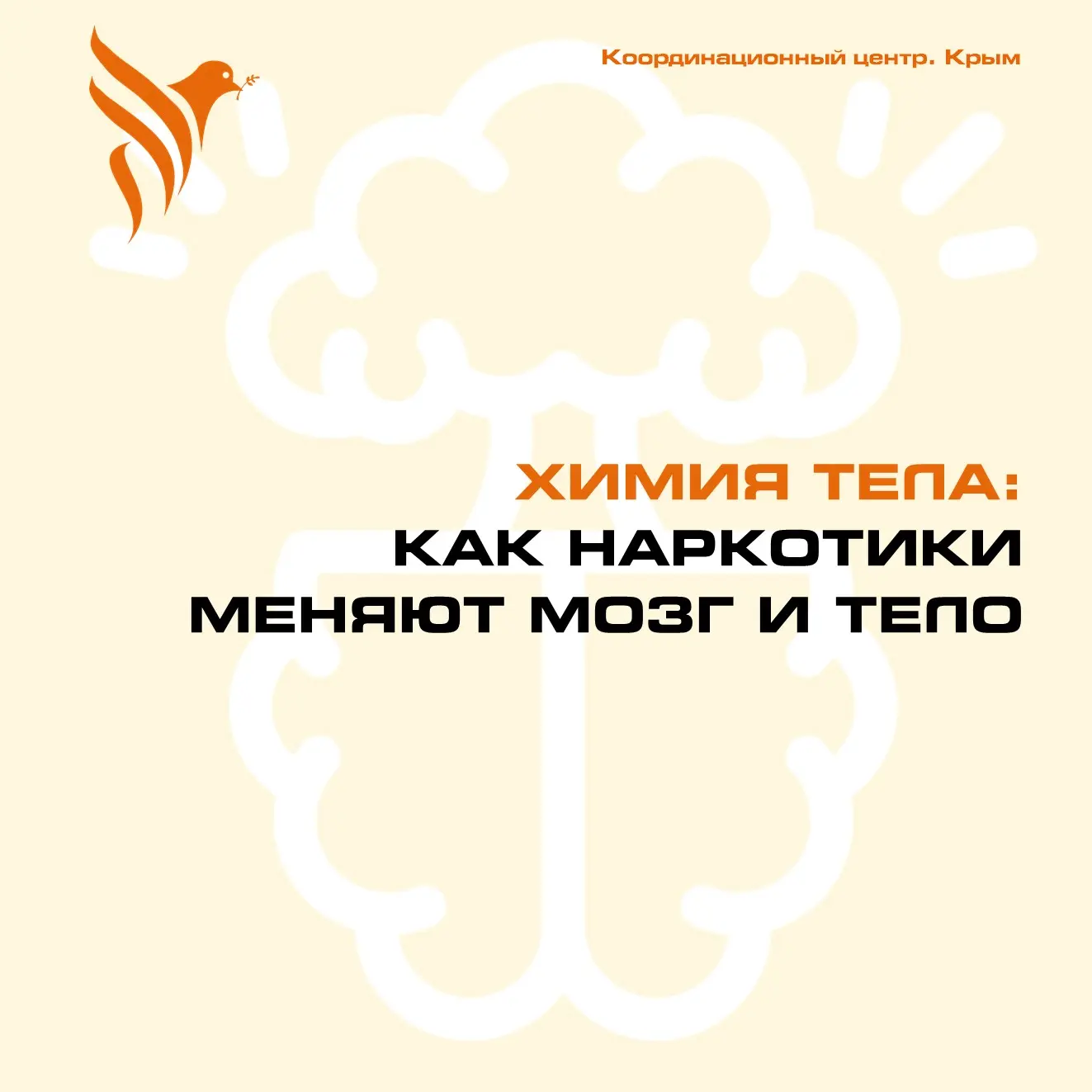 Химия тела — как наркотики меняют мозг и тело