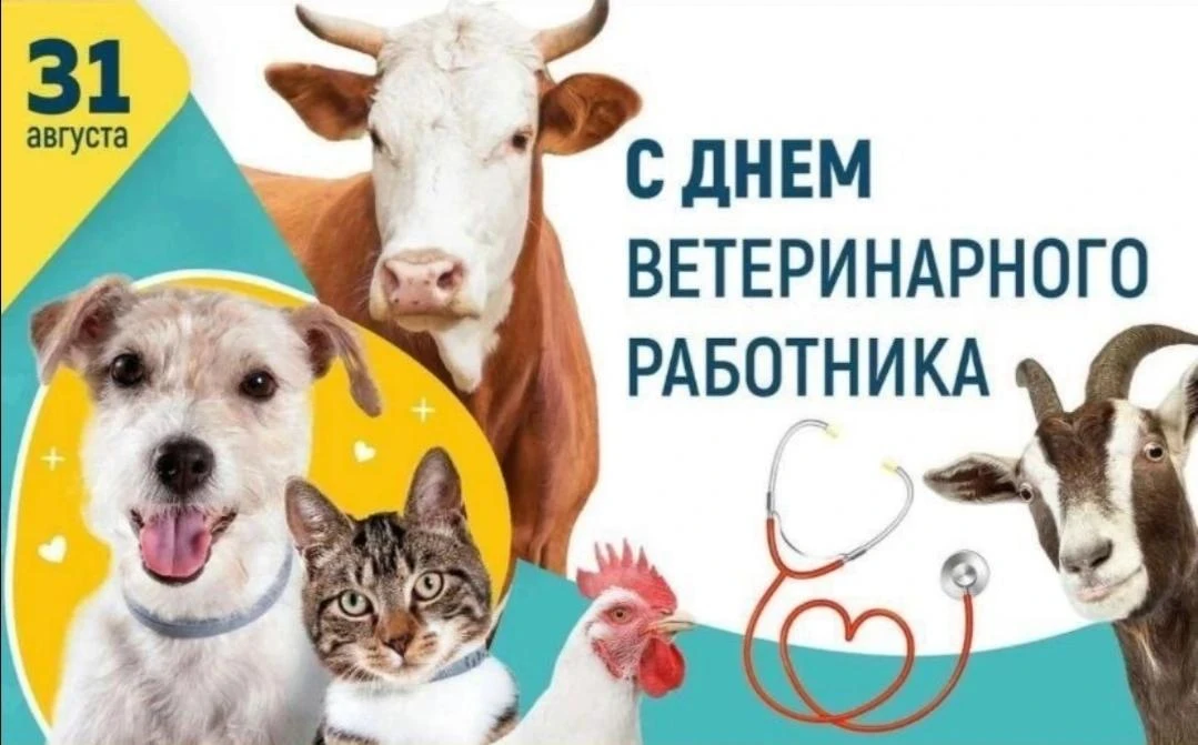В День ветеринарного работника России, который отмечают ежегодно 31 августа, хочется ра...