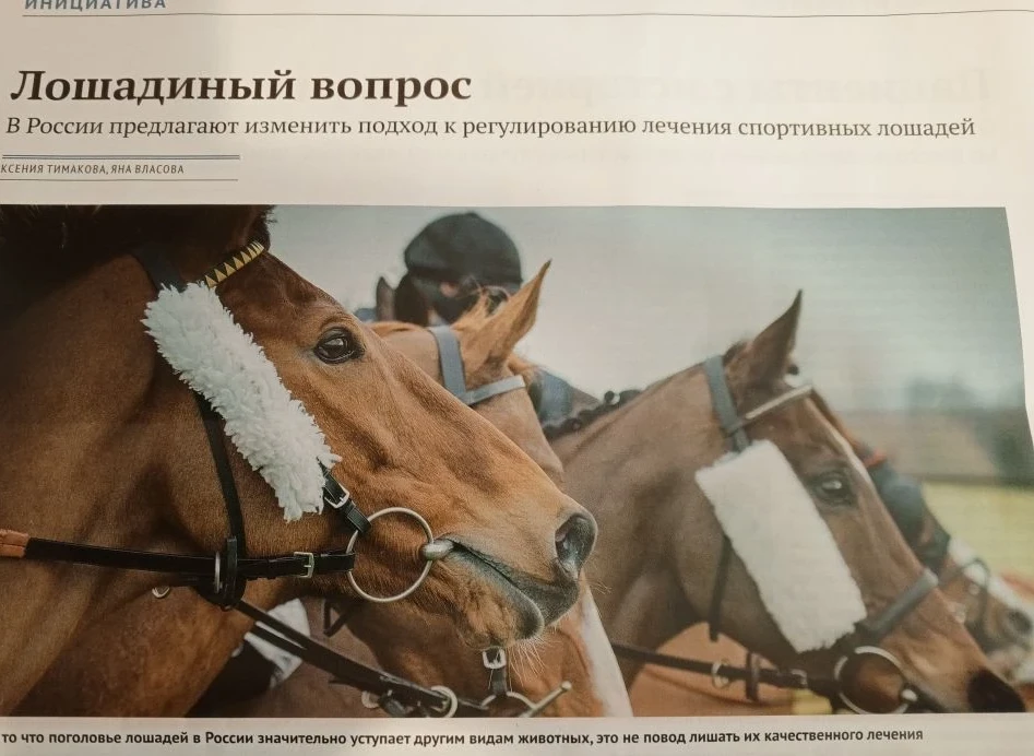 «Несмотря на то что поголовье лошадей в России значительно уступает другим видам животных, это не по