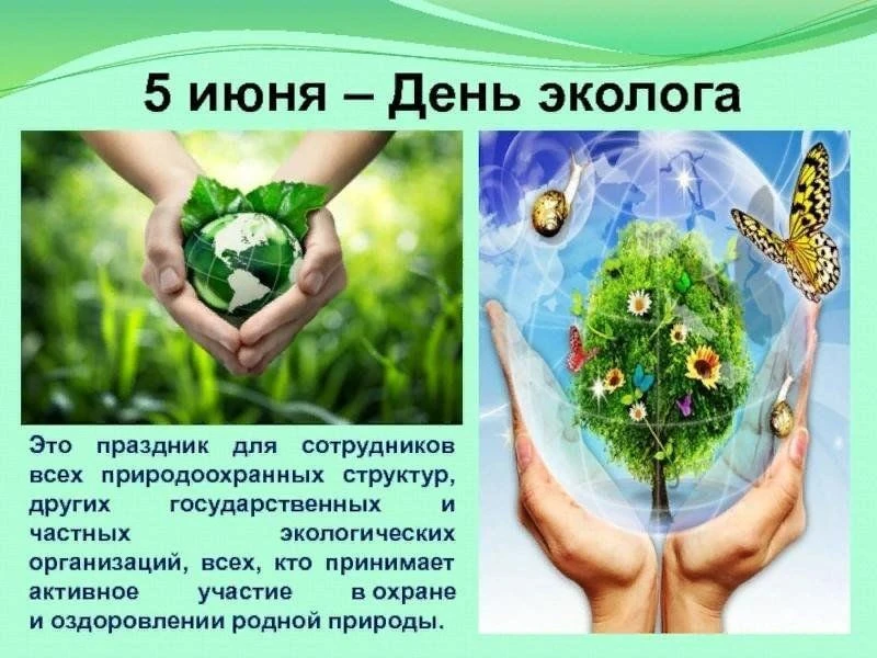 5 июня в России отмечают День эколога — профессиональный праздник для всех, кто работае...