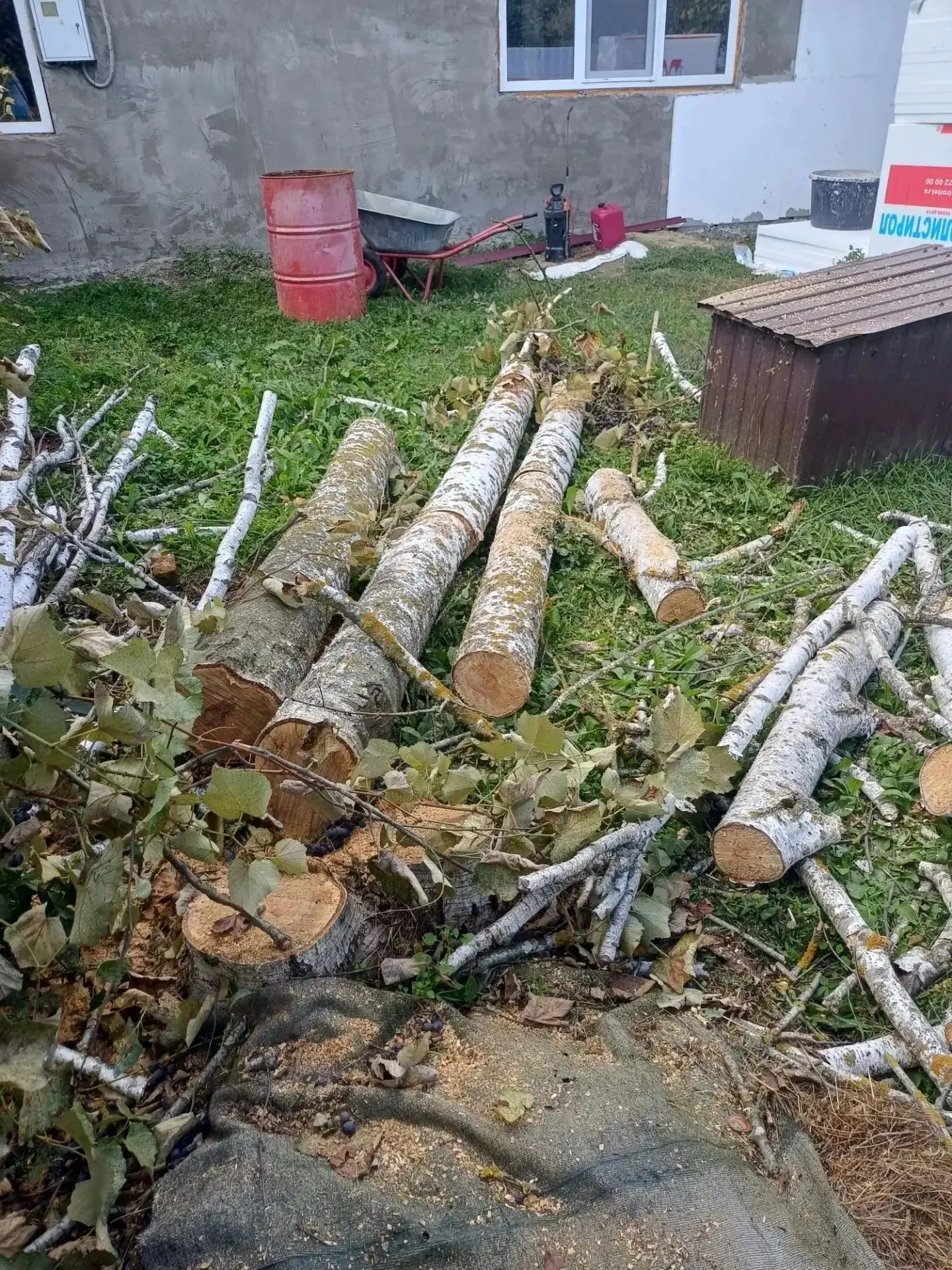 🏡В Ахтырском навели порядок по заявкам жителей