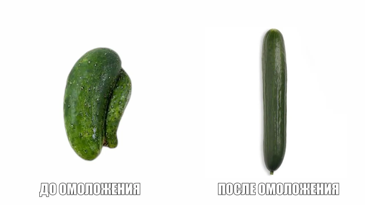 Омоложение пениса набирает популярность у россиян — запись на мужскую интим-пластику забита на месяц