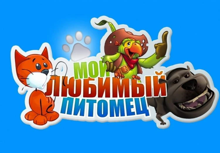 8 августа — Международный день кошек🐈️