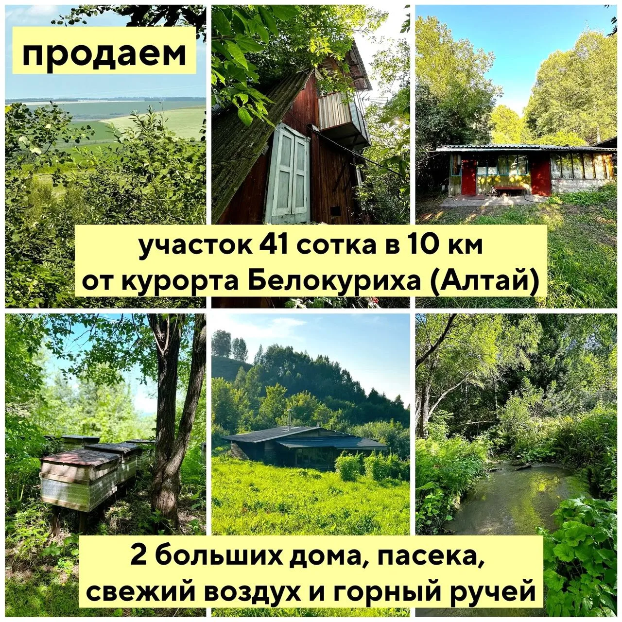 «Был бы у меня дом и участок на Алтае...» - обычно говорят о таком мечтательно. Но сейч...