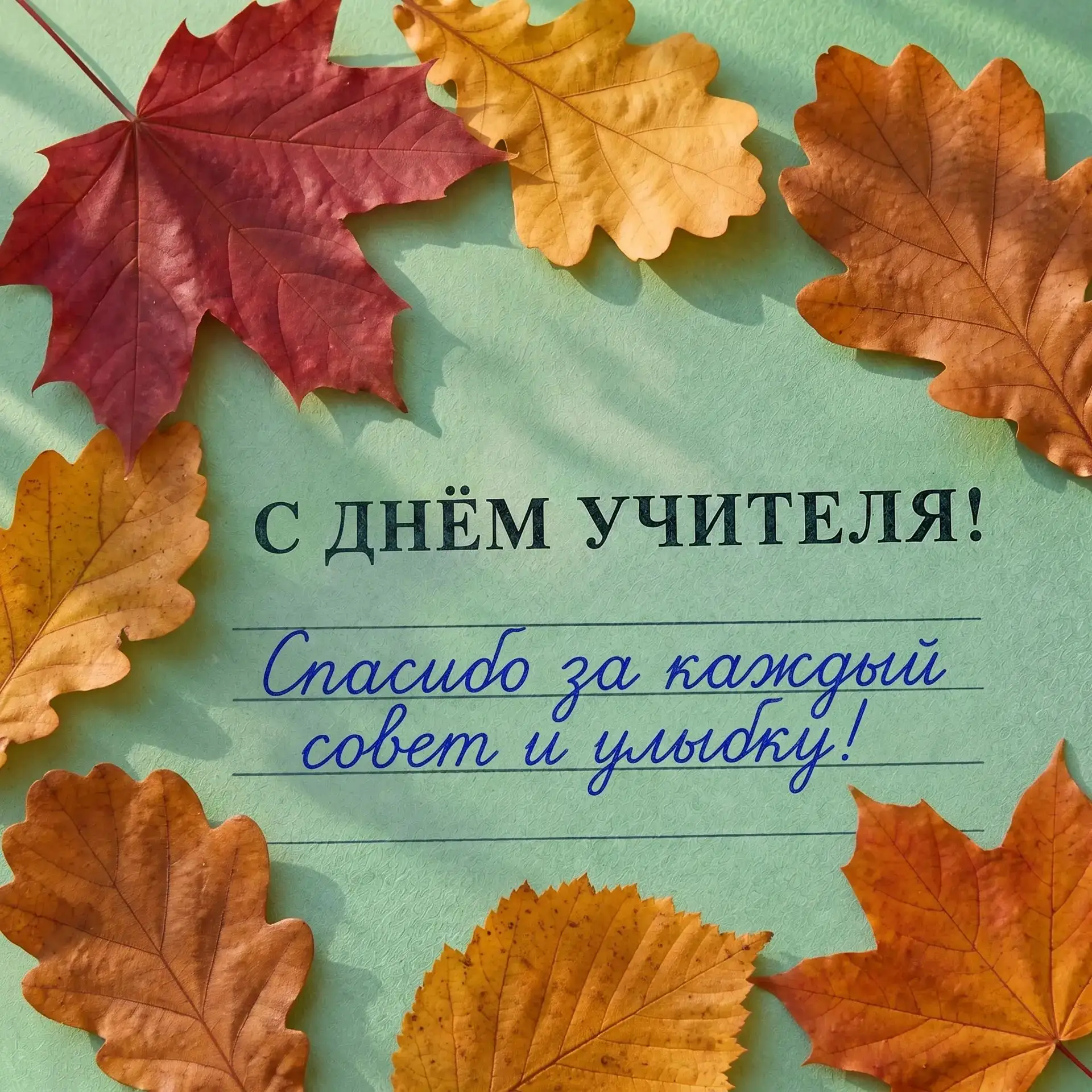 🎓С ДНËМ УЧИТЕЛЯ!💐