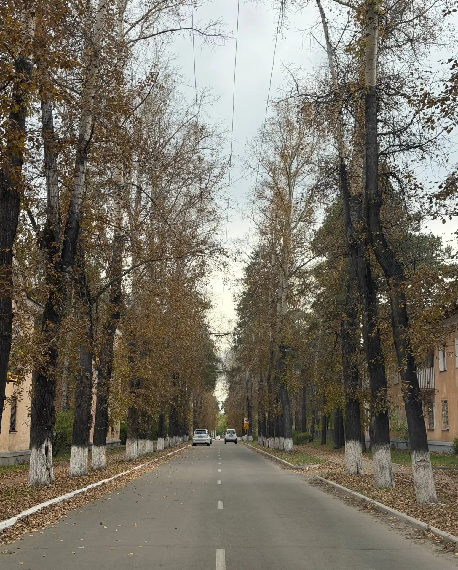 Сентябрь на улице Октябрьской 🍁🍂