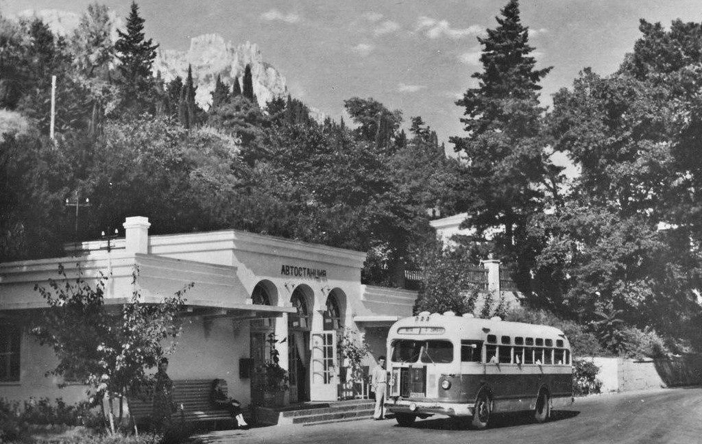 Крым.Алупка , 1957 год