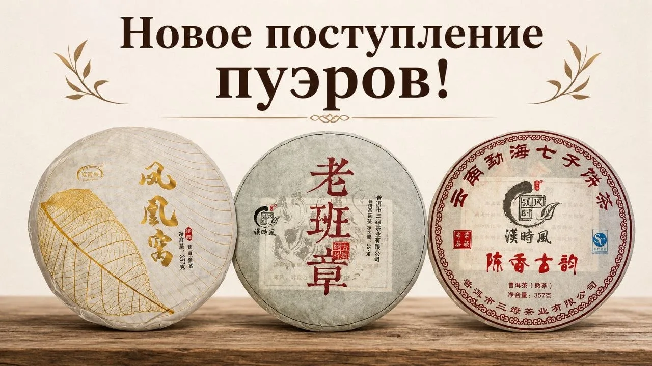 🖤 Поступление пуэров — отличный подарок для ценителей китайского чая!