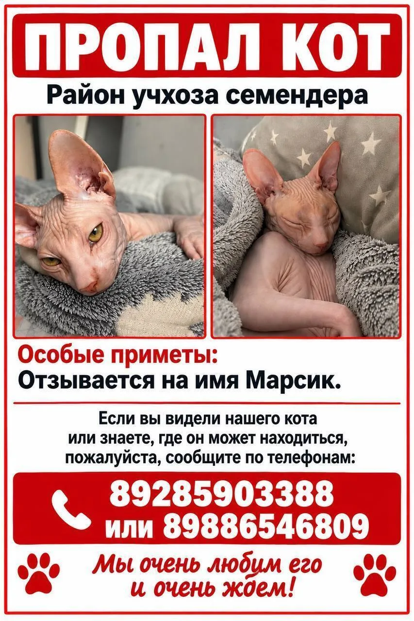Можно как-то это объявление распространить? Это мой кот его украли мы очень скучаем по ...