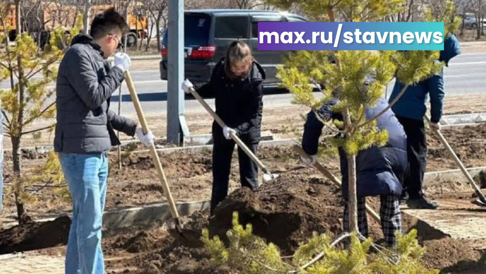 Более 500 деревьев высадят в Будённовском округе.