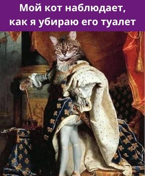 Подпишись, чтобы не потерять👇
Тёплый гусь• Юмор