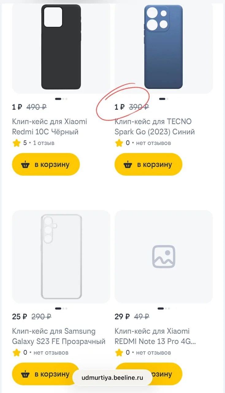 Смотрим раздел интернет-магазин
