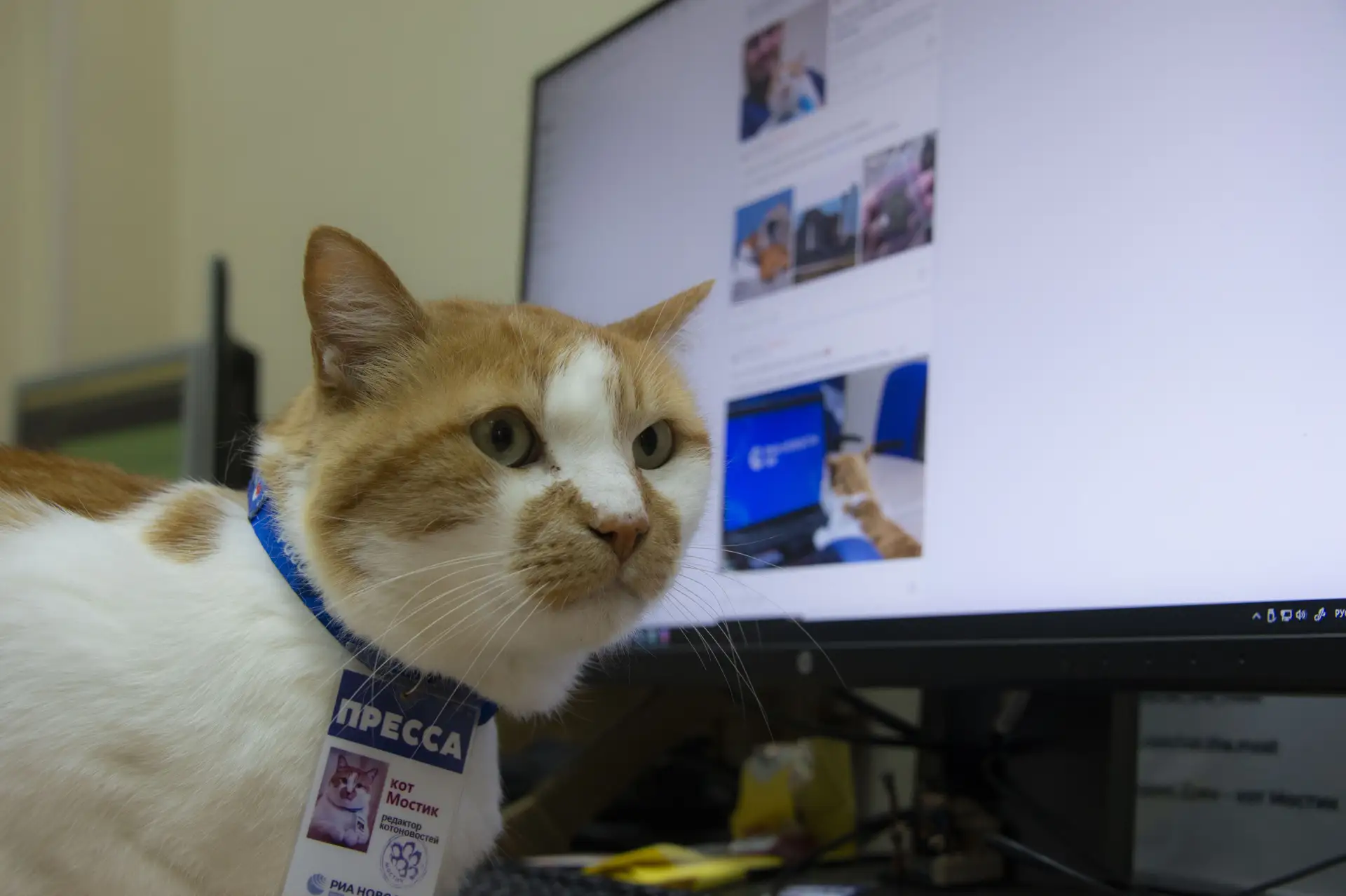 😻Первые выходные августа заказывали? Они уже почти готовы к встрече, остался только маленький нюанс