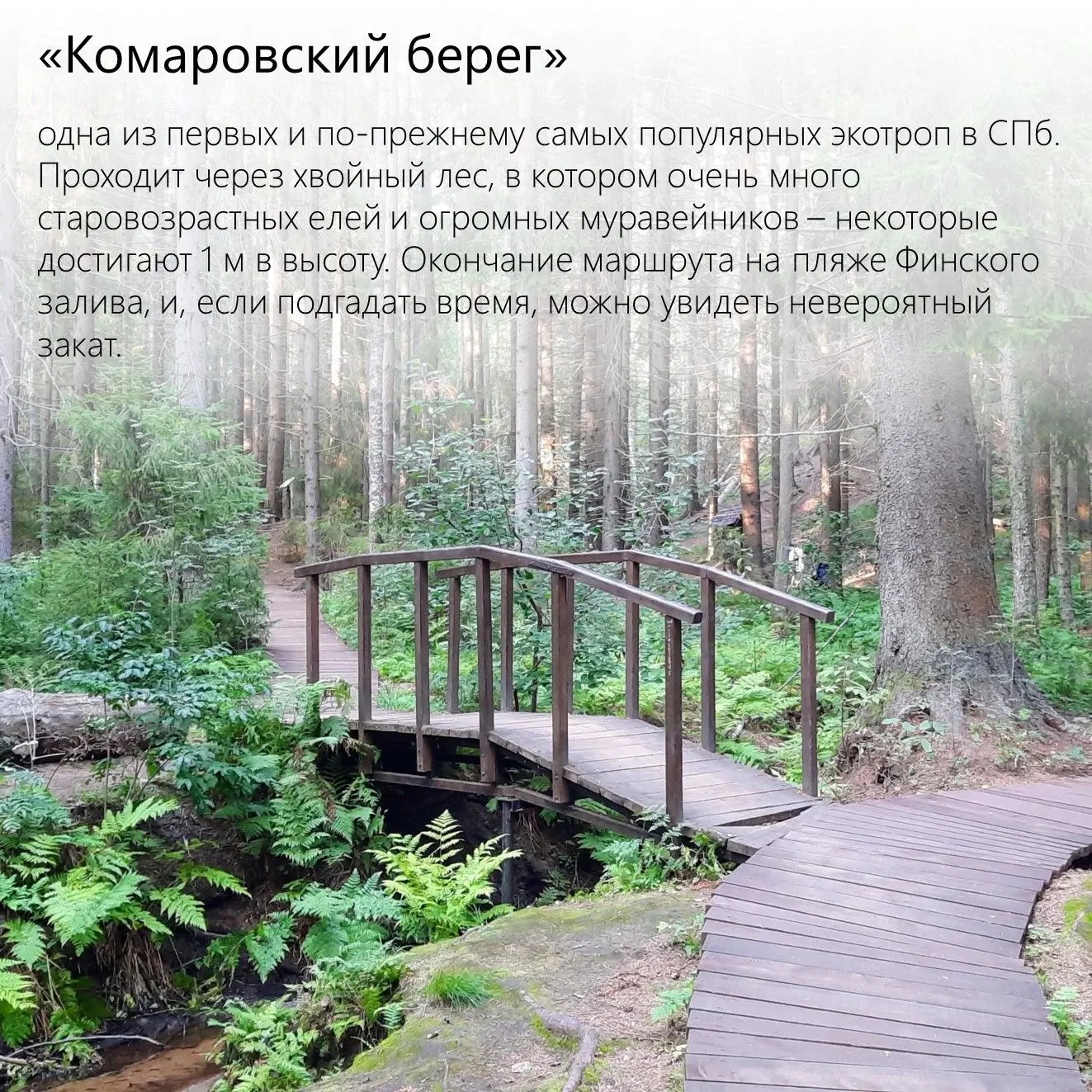 Как провести выходные с семьей.
