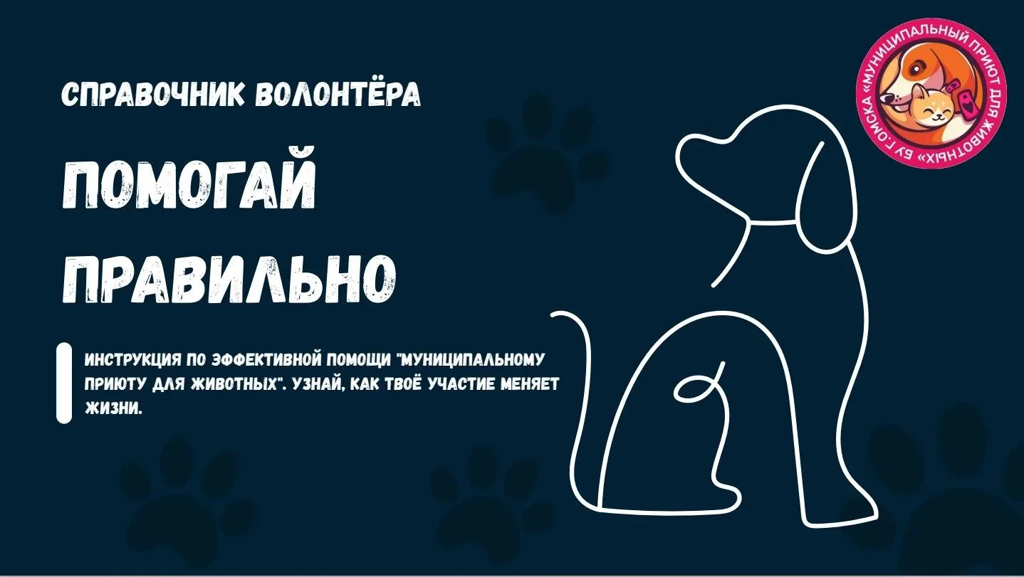 Проект завершен, но добрые дела продолжаются.                                           Традиционно 