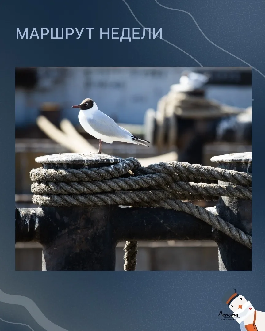 Собрала для вас индустриальный маршрут: вода, мосты, старые здания и вид на портовую зо...