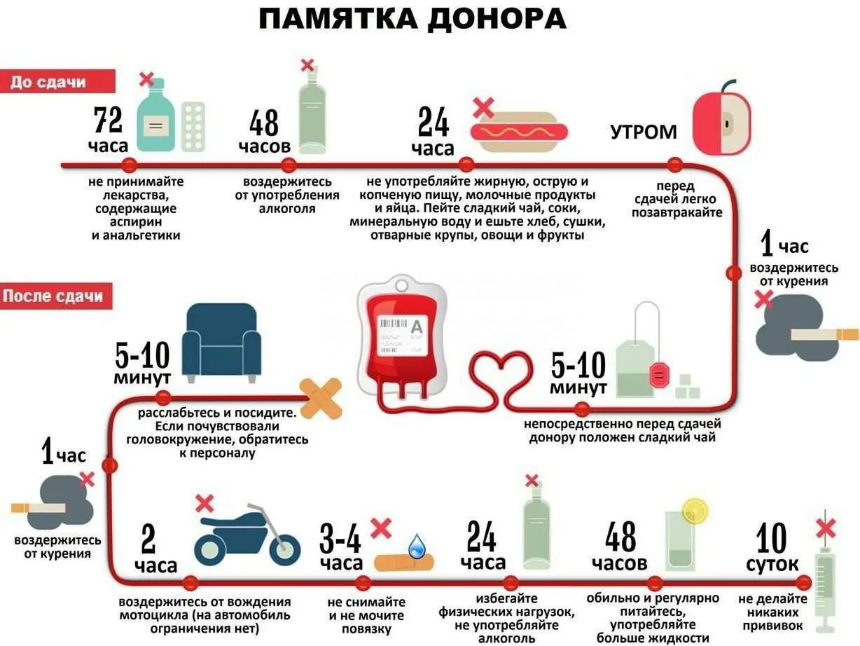 14 июня – Международный день донора🩸