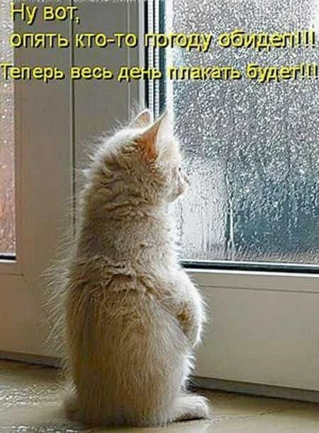 Лето представлено нешироко. 

Синоптики дали прогноз на неделю — будет прохладно и дождливо. 

Ночью