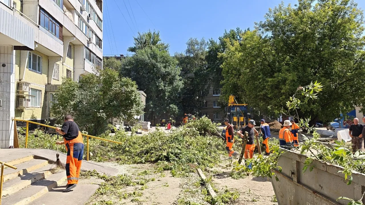 На Химкинском бульваре, 21, начался очередной этап благоустройства.