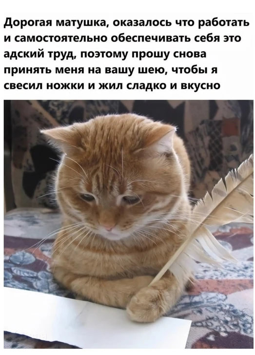 😉🤣😻