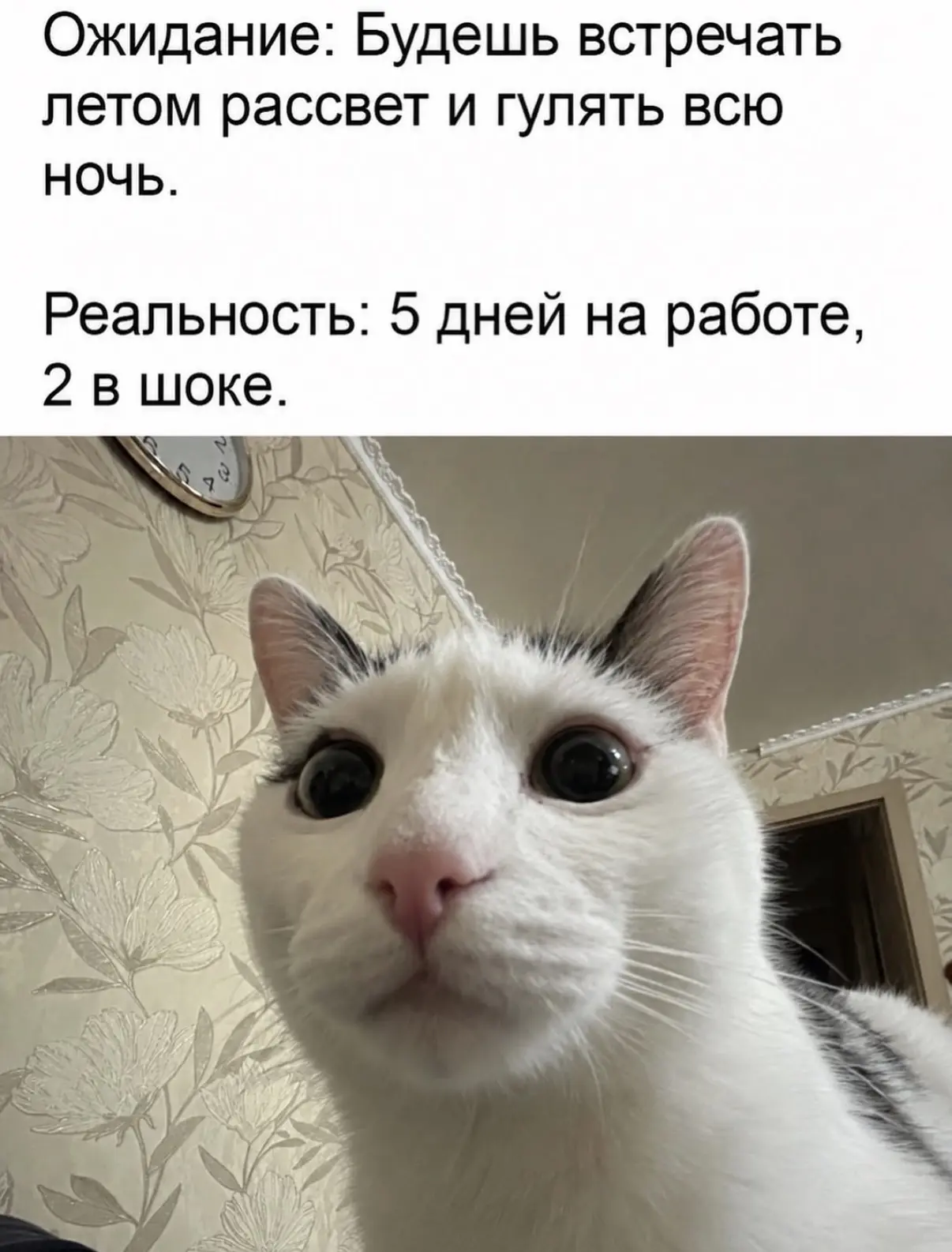 Коротко о выходных в Курске. Доброе утро