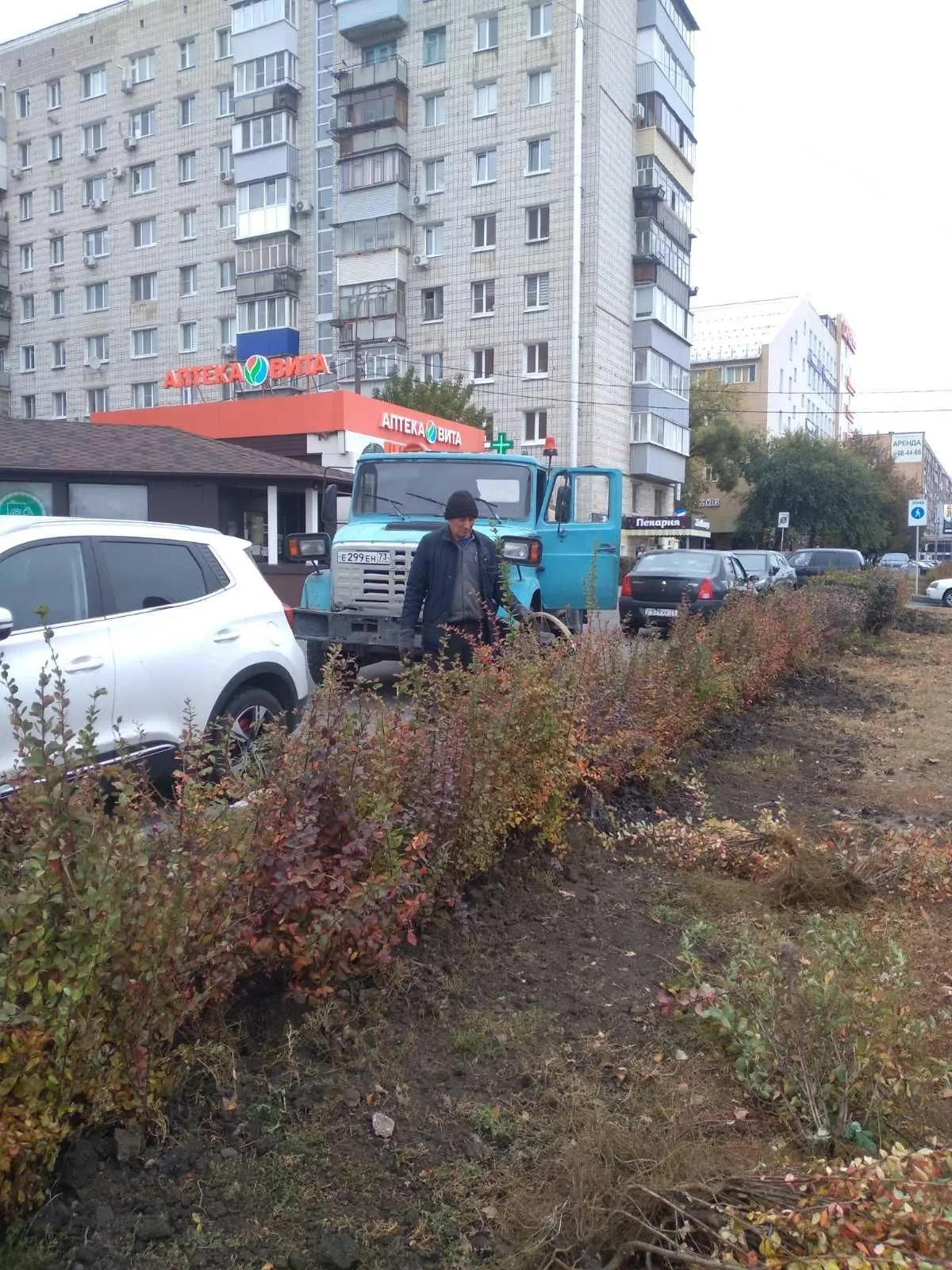 Два года – и вот результат.

Сегодня специалисты Городского центра привели в порядок живую изгородь 
