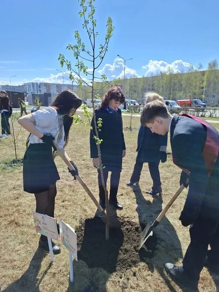 🌳 Зелёный след выпускников на карте Сургута  25 мая 2026 года в Сургуте состоялась добрая и значимая