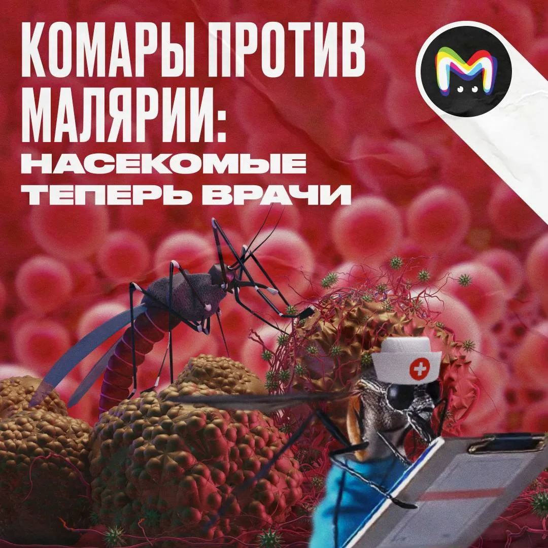 Сегодня у нас отмечается Всемирный день борьбы с малярией. Спорим, вы не в курсе, что от укусов маля