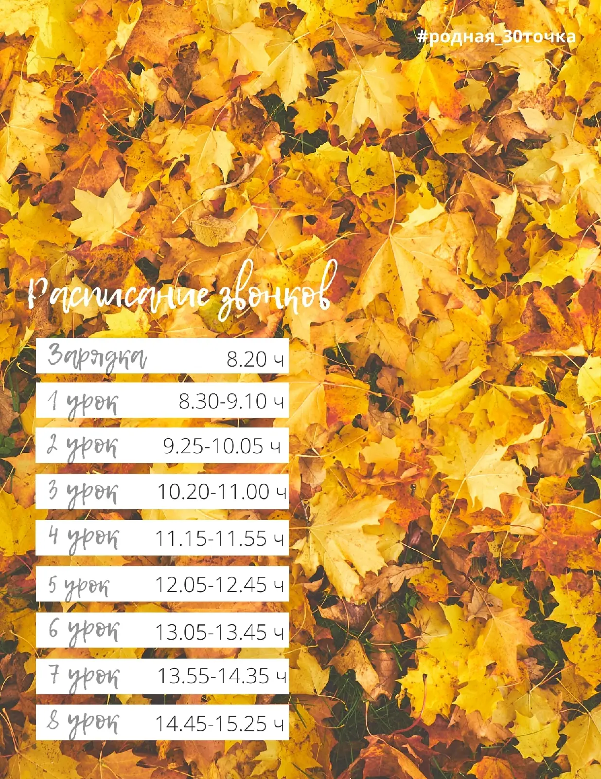 🍂 Начало сентября — время, когда всё вокруг будто заново просыпается! 🍁