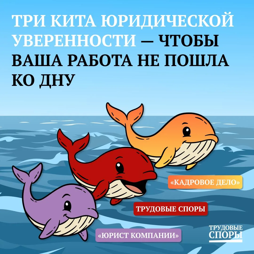 Три кита юридической уверенности — чтобы ваша работа не пошла ко дну

В море профессиональных задач 