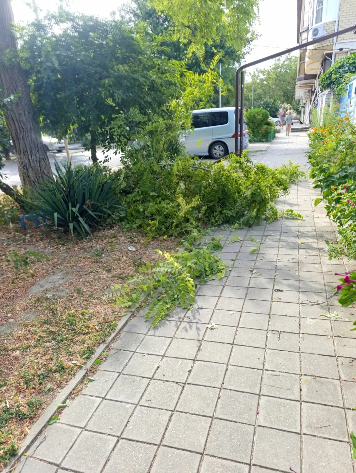 На Таманской ветку обломило ветром прямо передо мной. Хорошо что не по голове