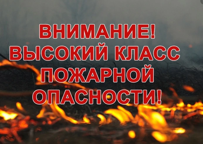 По данным информационной системы дистанционного мониторинга Федерального агентства лесн...