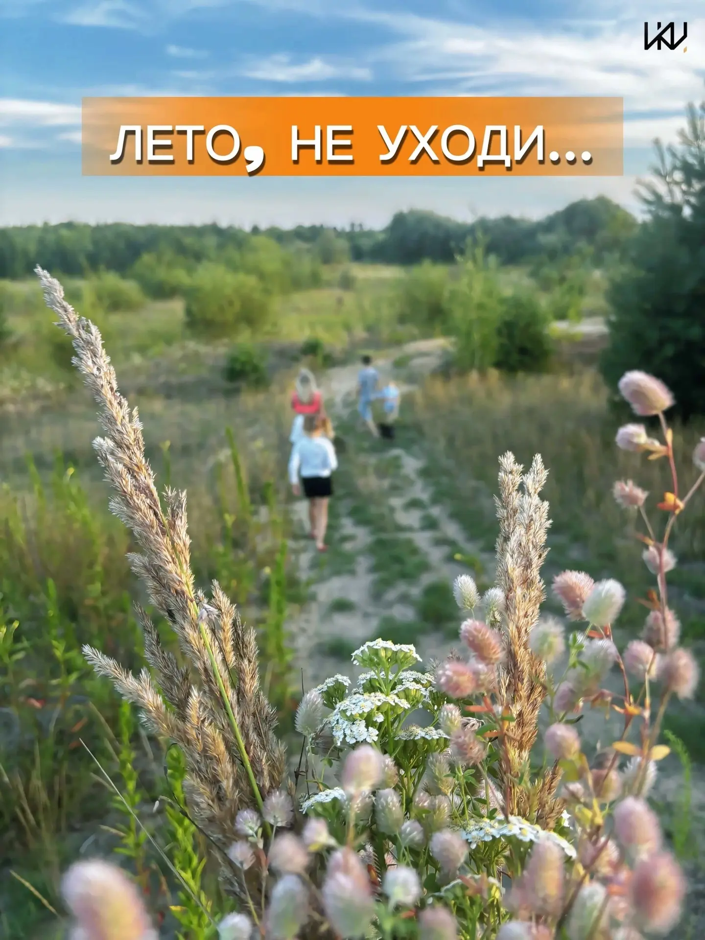 🍃 КАЖЕТСЯ, ЭТО ЛЕТО ПРОЛЕТЕЛО ОЧЕНЬ БЫСТРО!