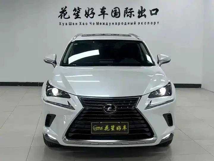 🇯🇵Lexus NX 2020 из Китая