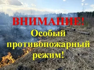 ❗Безопасность летом – то, на что родителям и школьникам следует обратить особое внимани...