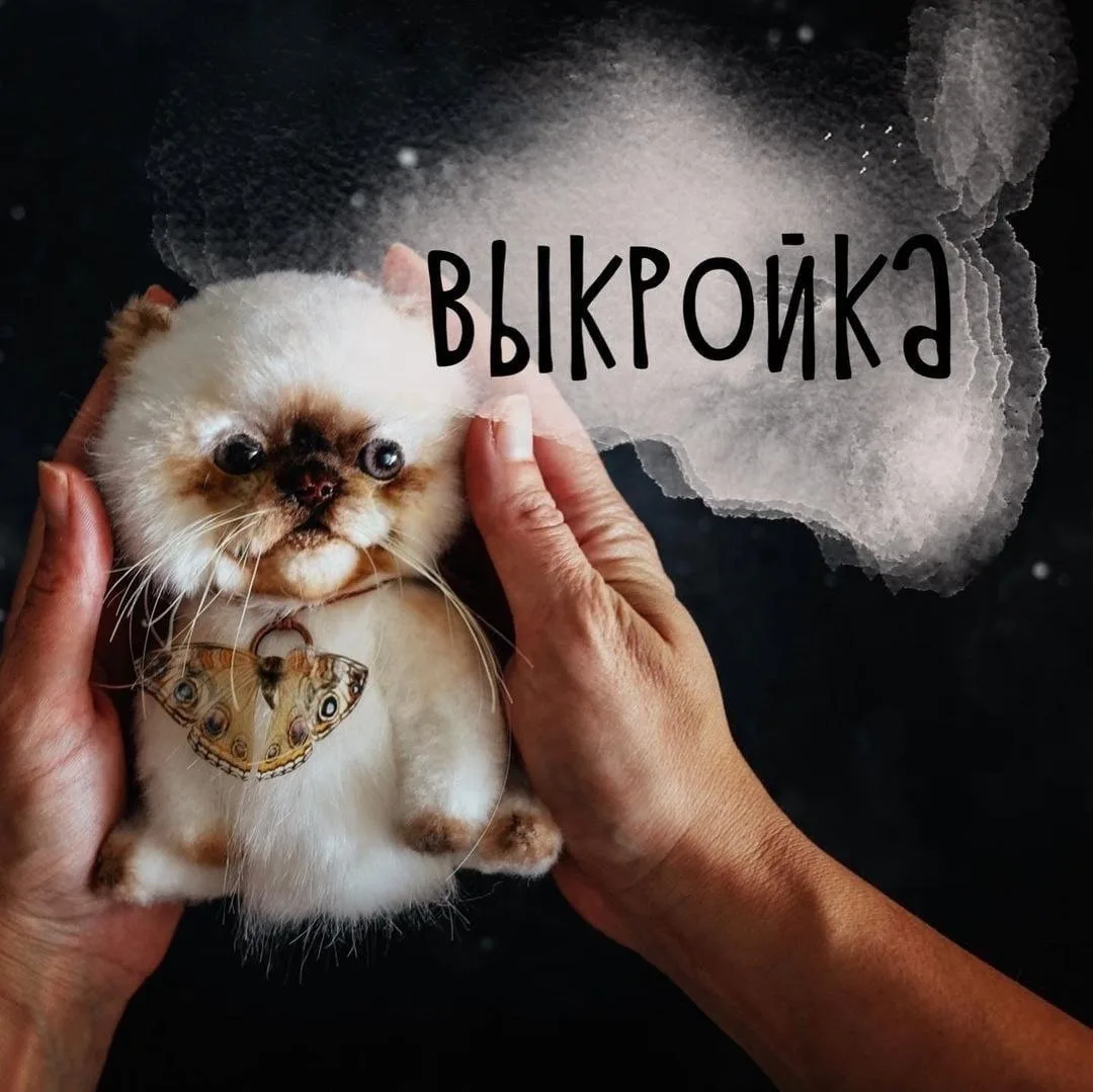 Котенок от Янины Линк 🐱