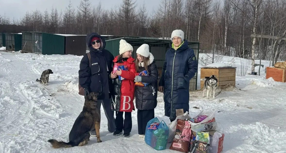 🐕 🐕‍🦺 🐈 🐈‍⬛ 🐕 🐕‍🦺 🐈  🐾 «Лапа помощи»: наша школа собрала корм для бездомных животных  🐾 В нашей школ