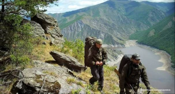 Закрывают туристический маршрут «ЭкоБорус» в Красноярском крае из-за медведей

С 23 июня посещение п