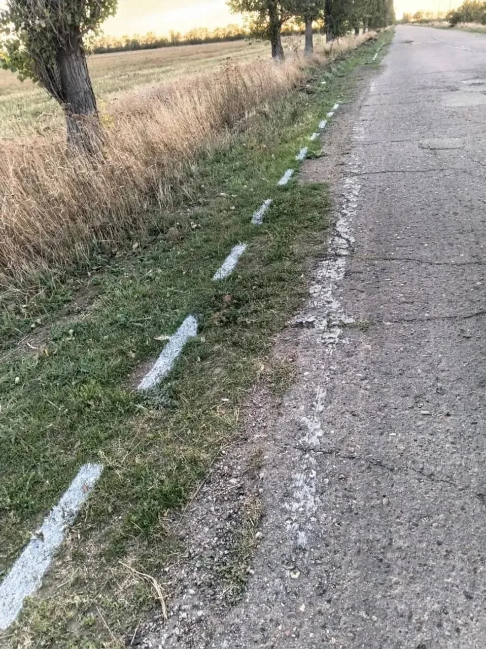 Ну ладно, у нас оказывается не все еще так плохо ☺️