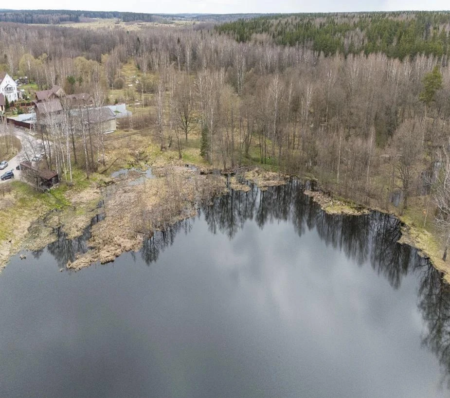 Совсем скоро еще один водоем засияет чистотой! Пруд в д.Русаки будет расчищен в рамках губернаторско