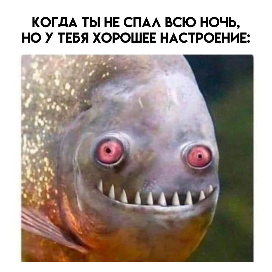 Комментарии