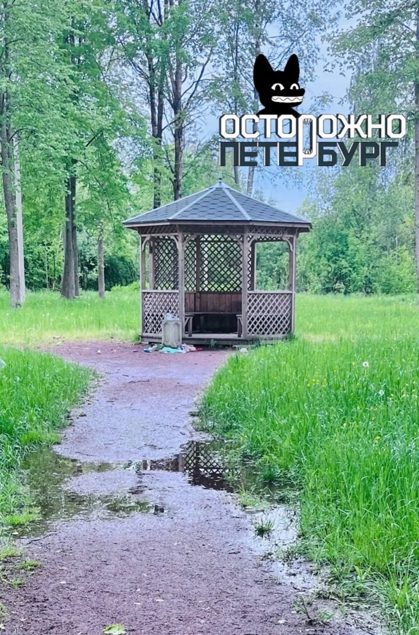 Грязь, плесень, мусор: в Ленобласти пожаловались на состояние парка, который недавно благоустроили п