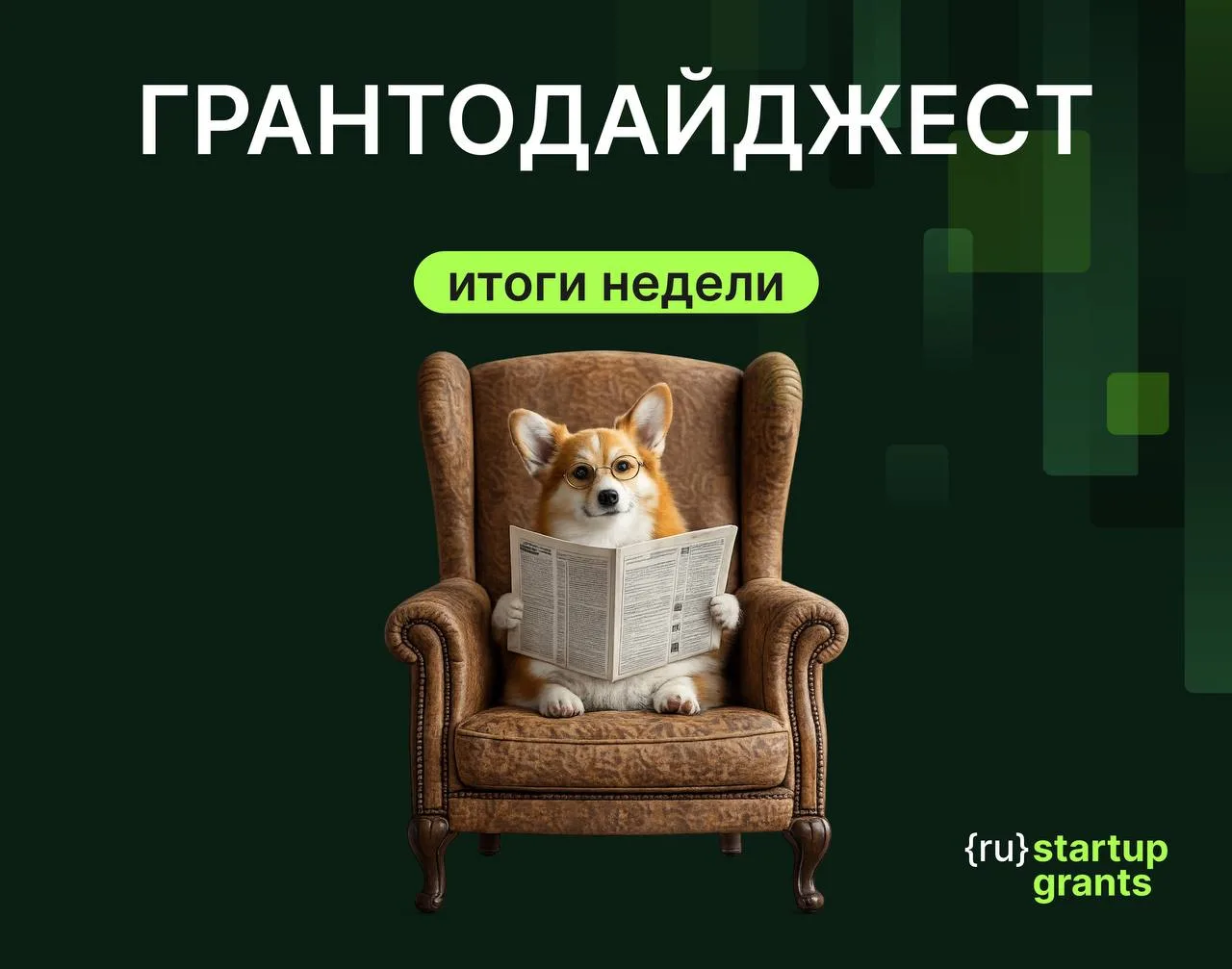📲📲 Грантодайджест!