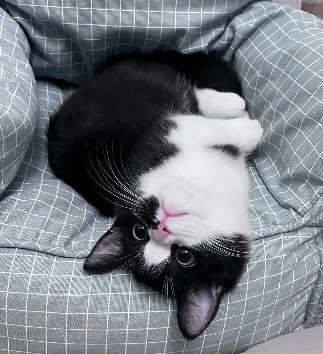 кофе с молоком