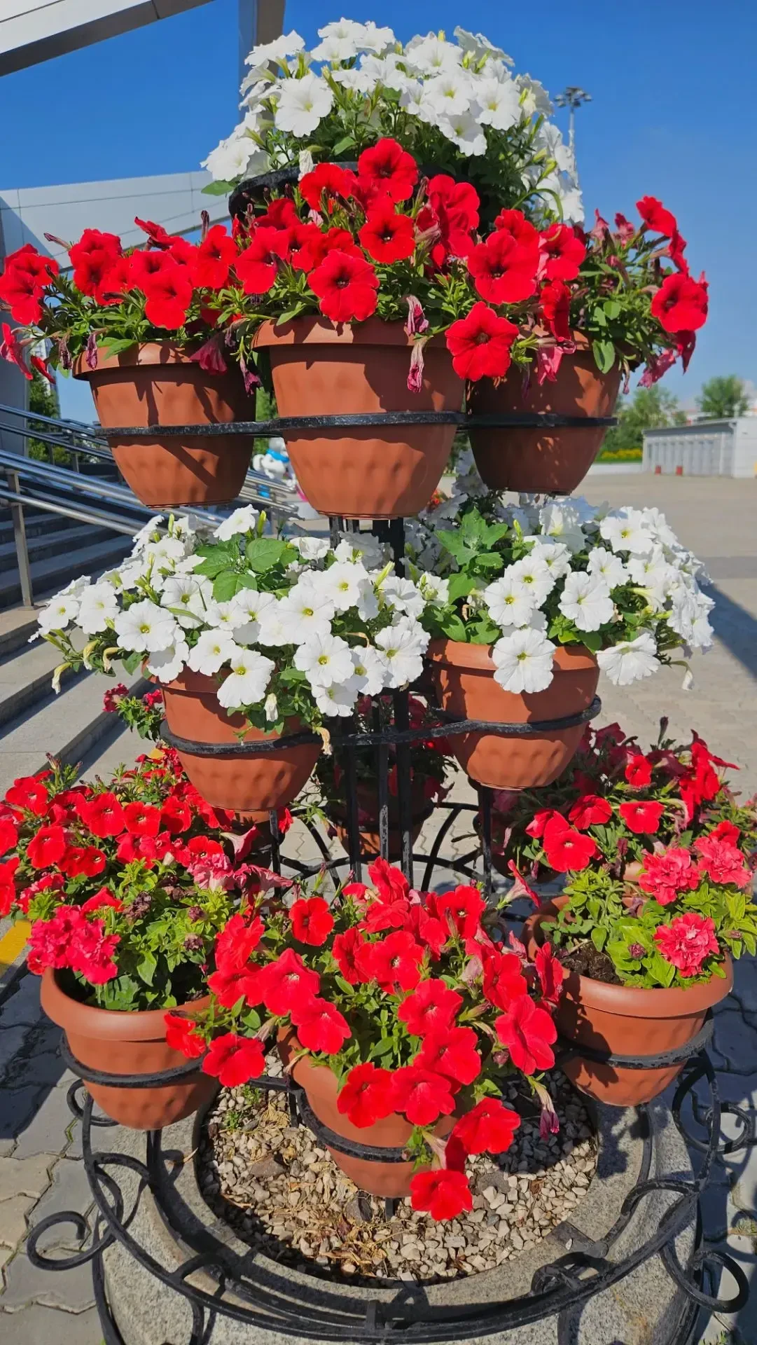 "У цветов не бывает будней, они всегда одеты празднично" 🌺🌸🌼