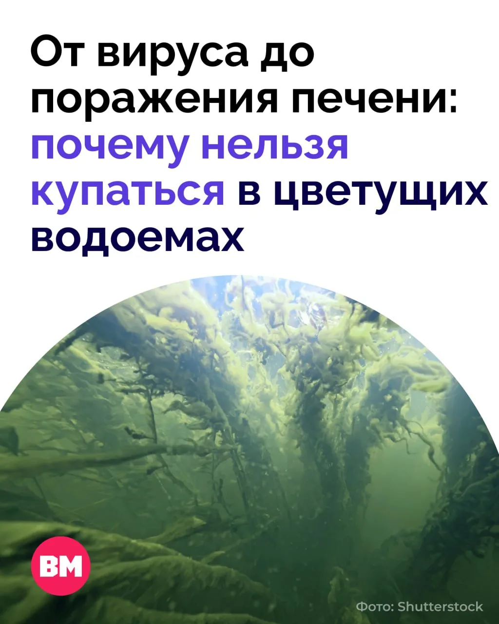 🫠 Москва-река в этом сезоне прогрелась сильнее, чем поверхность Черного моря у Сочи и Анапы. В таку