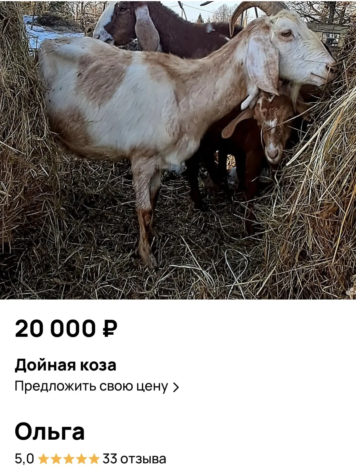 Когда зашла на авито посмотреть кого вообще щас продают 😂 сначала охерела от цены на к...
