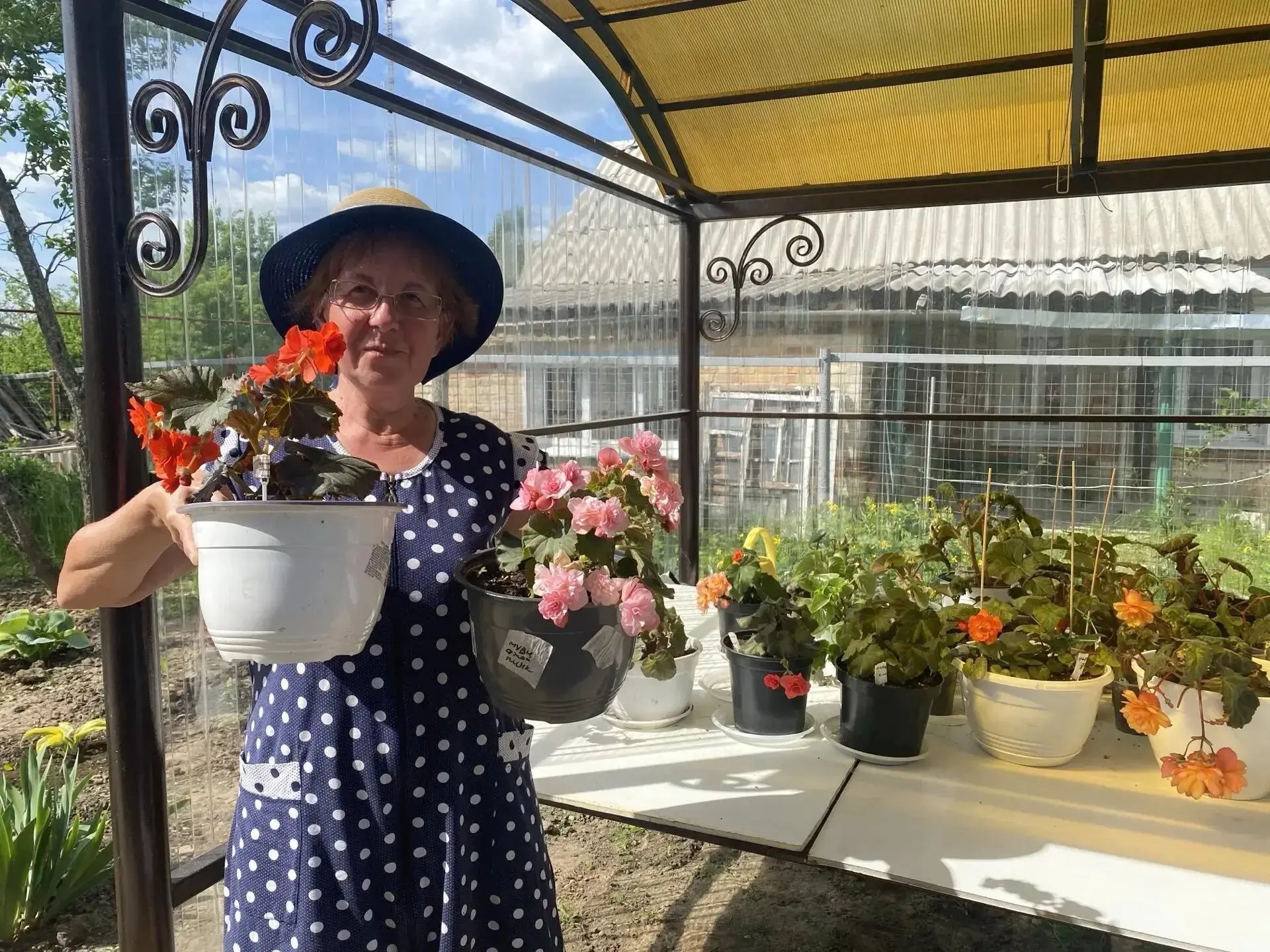 🌷Экскурсия в сад цветовода - это возможность познакомиться с коллекцией растений, узна...